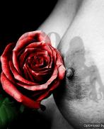 Проститутка Alexandra Lima